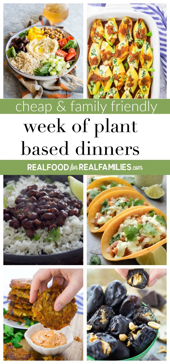 EASY CHEAP & FAMILY FRIENDLY PLANT BASED WEEK OF DINNER RECIPES