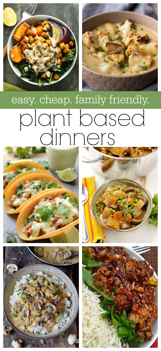 Easy cheap &amp; family friendly plant based week of dinner