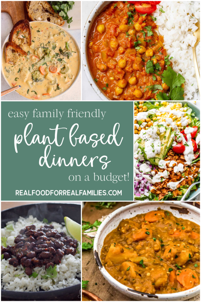 Easy plant based dinners for families January 2021