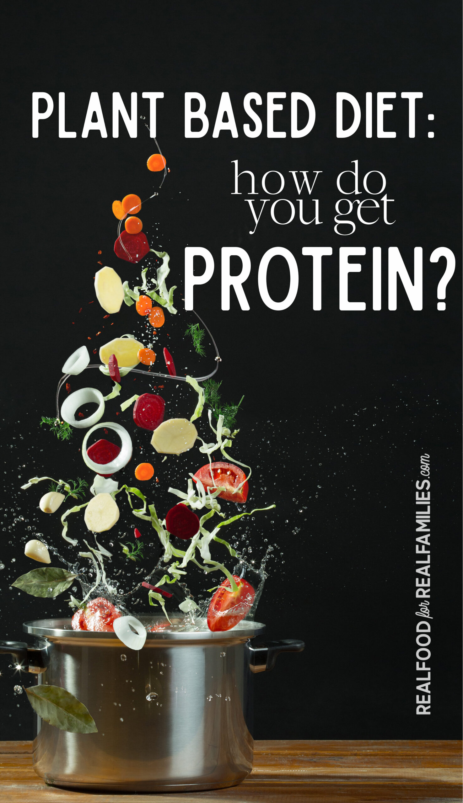 Plant based protein foods Real Food for Real Families